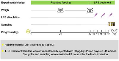 Effects of Probiotics on the Growth Performance, Antioxidant Functions, Immune Responses, and Caecal Microbiota of Broilers Challenged by Lipopolysaccharide